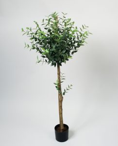 Mini Eucalyptus (1043-110)