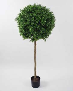 Boxwood Ball Tree (1071-125)