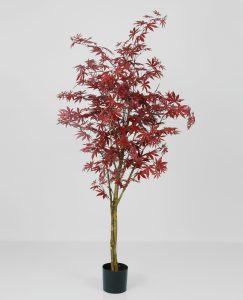 Maple red (1145-140)