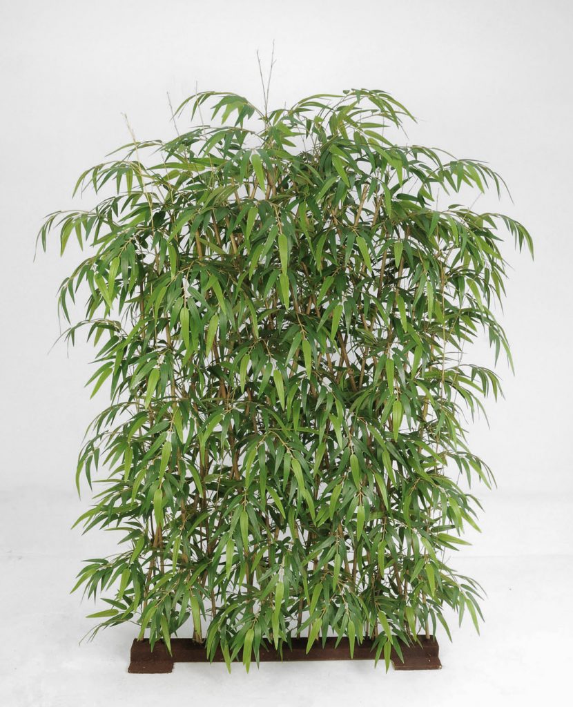 Bamboo Fenche (1206-170)