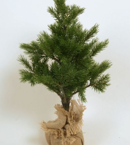 Mini Pine Tree (2306)