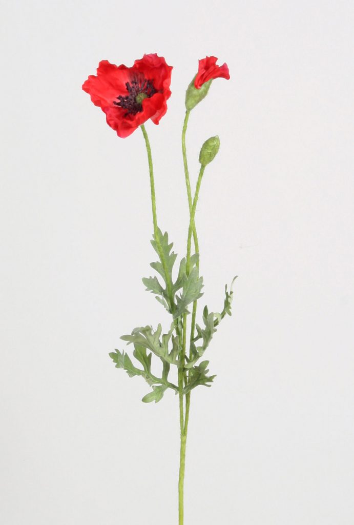 Poppy Red (4018)