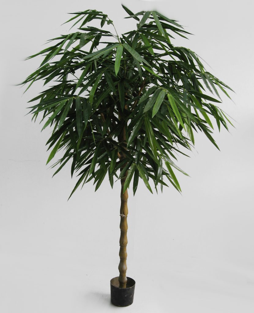Bamboo Umbrella (91-170)