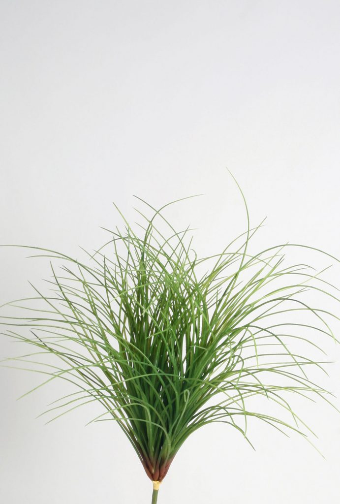 Carex Bush (2310)