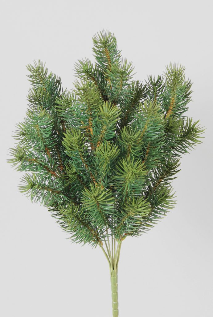 Needle Pine Bush (5073)