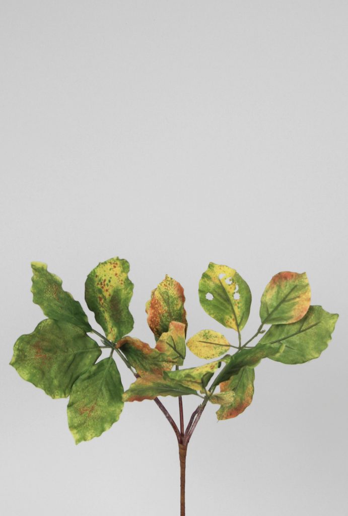 Leaf Pick (6853)