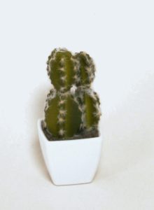 Cactus (8101)