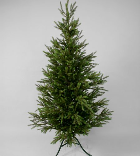 Picea Pine Tree (646)