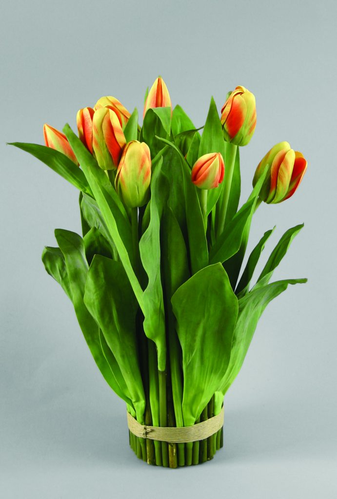 Tulip In Bundle (9669)