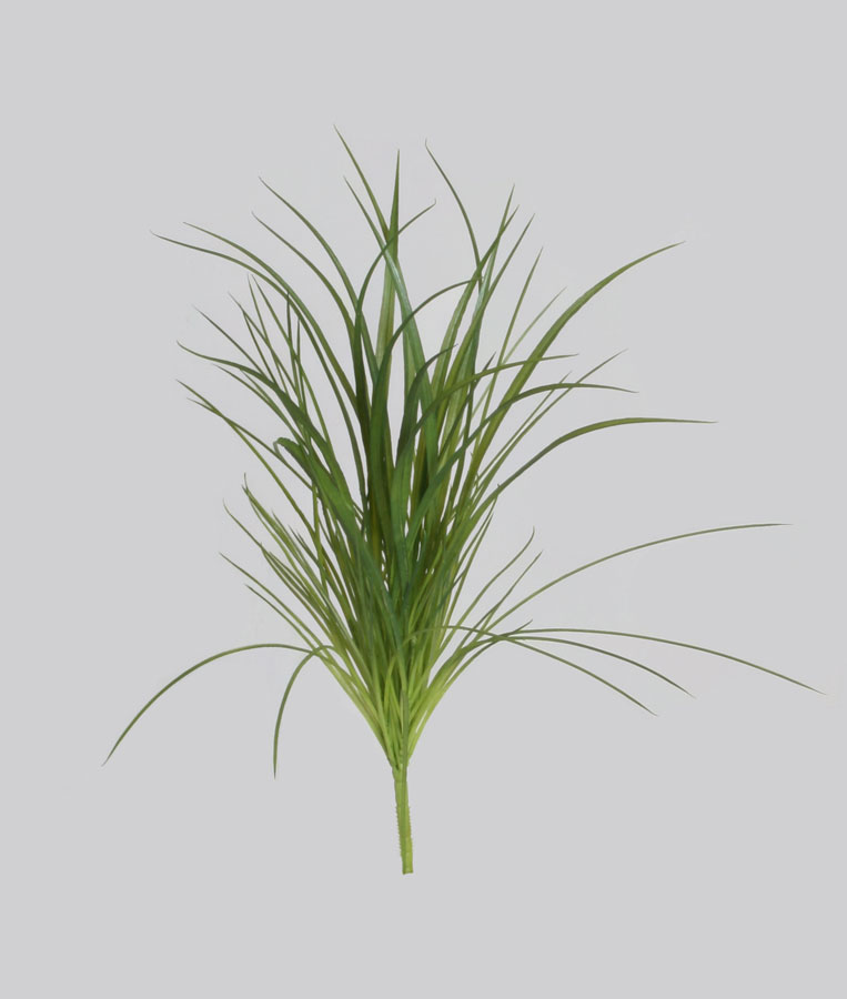 Grass Bush (4042)